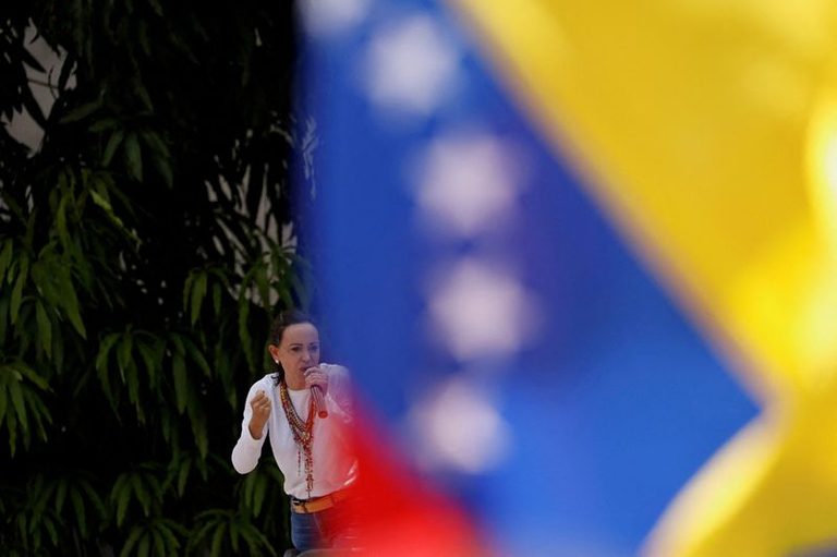 Us Senators Seek Venezuela Elections