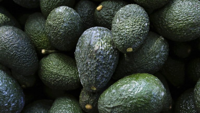 Us Suspends Avocado Inspections In Mexico