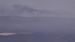 Vegetation Fire Burns Half Acre Near Highway 101 In Orcutt