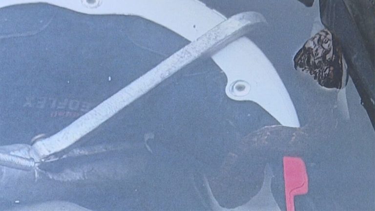 Venomous Snake Found In Football Player S Helmet