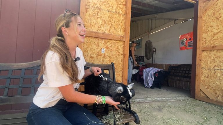 Ventura County Fair Showcases Animal Stars