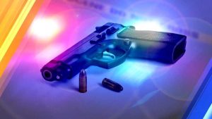 Virginia State University Shooting