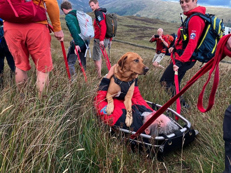 Volunteer Rescuers Stretcher Injured Labrador From Sleddale Forest Ravine