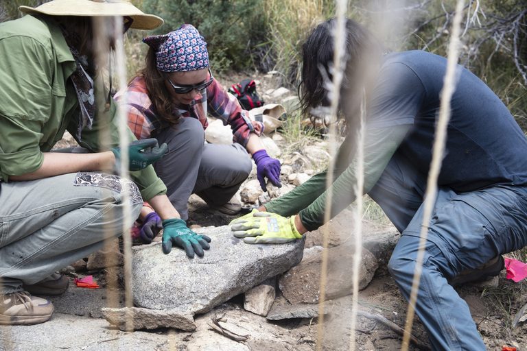 Volunteers Build Rock Erosion Controls On Mount Lemmon To Protect Watersheds
