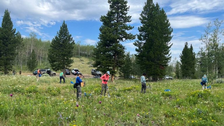 Volunteers Remove Invasive Weeds In Jackson