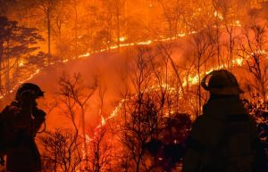 Washington Wildfires Displace 60 000