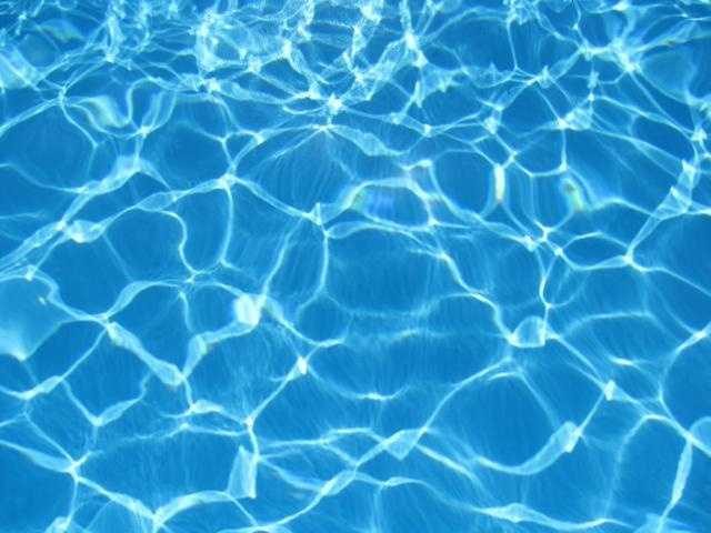 Weekend Events Across The Treasure Coast And Palm Beach County
