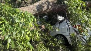 West Side Families Grapple With Power Loss After Friday Night Storm