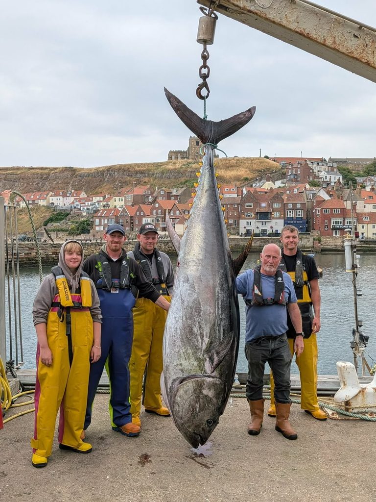 Whitby Fishing Crew Lands 742 Lb Bluefin Tuna First Catch Since 1939