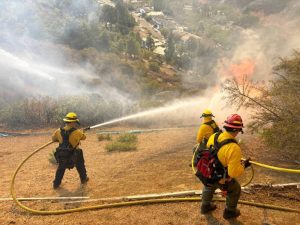 Wildfire Smoke Affects Pregnancy