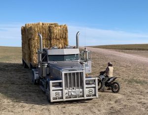 Wyoming Ranchers Face Drought
