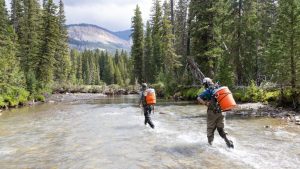 Yellowstone Closes Buffalo Creek For Invasive Fish Removal To Protect Native Cut