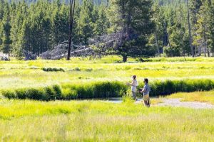 Yellowstone Lifts Full Fishing Bans On Firehole Madison And Gibbon Rivers