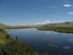 National Elk Refuge — Jackson Hole