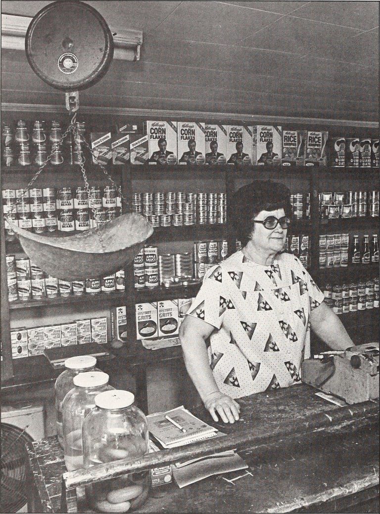 Sassafras — Raleigh
