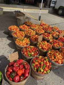 Minneapolis Farmers Market — Minneapolis