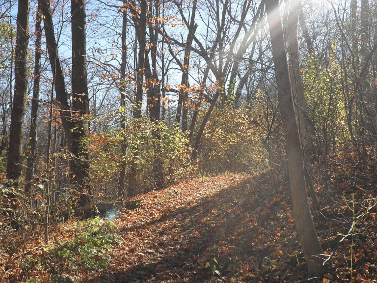 Petrifying Springs Park — Kenosha