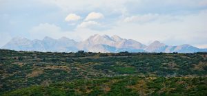 San Juan Brewing Co. — Durango