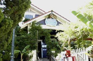 Spider House Café — Austin