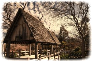 Fort Worth Botanic Garden – Japanese Garden — Fort Worth