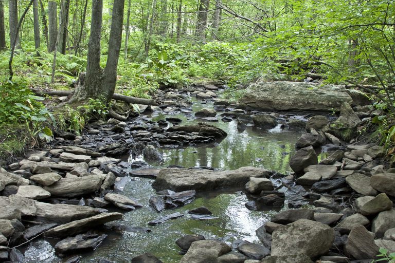 Broad Meadow Brook Wildlife Sanctuary — Worcester