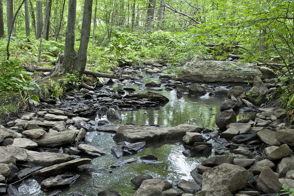Broad Meadow Brook Wildlife Sanctuary — Worcester