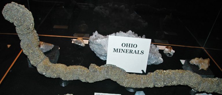 Museum of Natural History & Science at Cincinnati Museum Center — Cincinnati