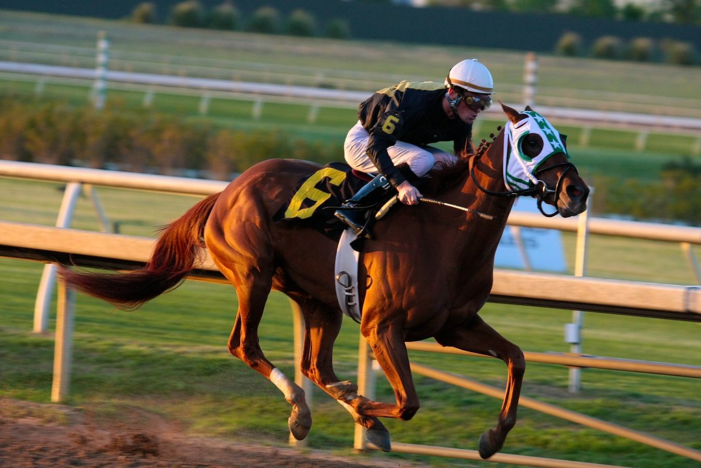 Lone Star Park at Grand Prairie — Grand Prairie