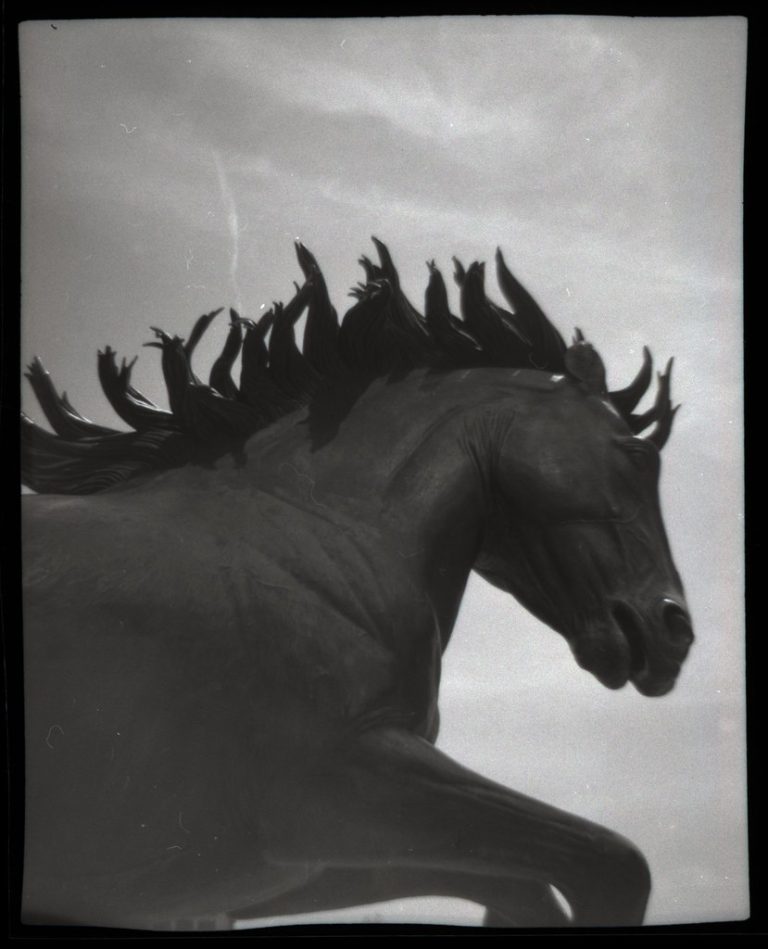 The Mustangs of Las Colinas Sculpture — Irving