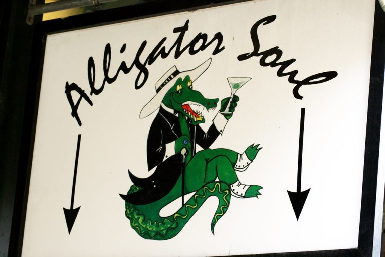 Alligator Soul — Savannah