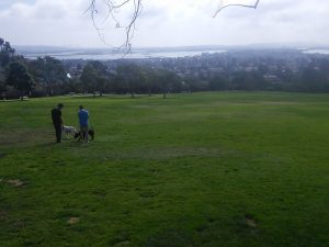 Kate Sessions Park — San Diego