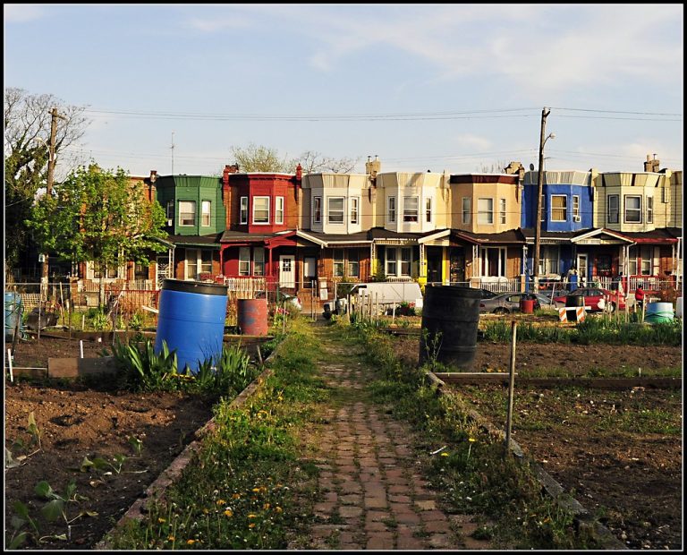 Providence Community Garden Finds a Permanent Home After Decades of Renting