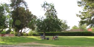 Himmel Park — Tucson