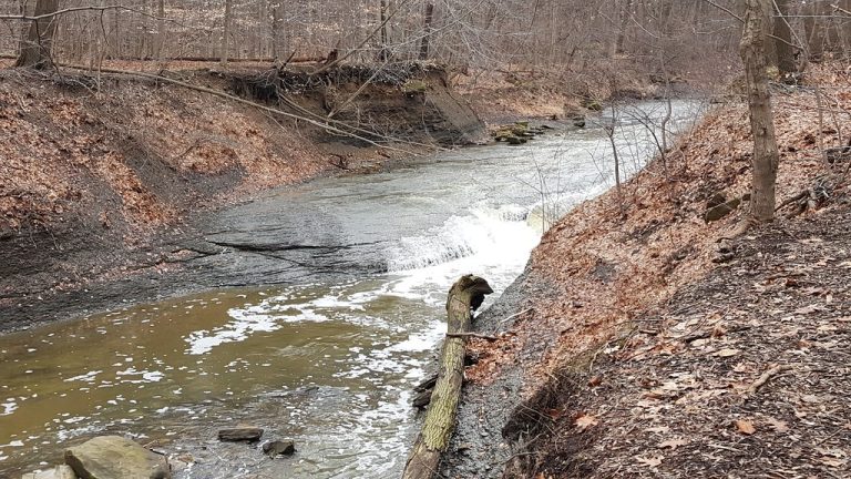 Euclid Creek Reservation (Cleveland Metroparks) — Cleveland