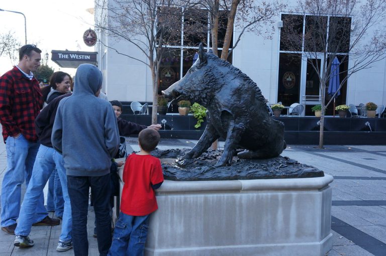 Carolina Ale House Greenville — Greenville
