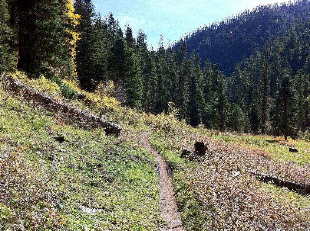 Durango Derby Rolls Back Into Town, Bringing Rally-Style Mountain Biking to Local Trails