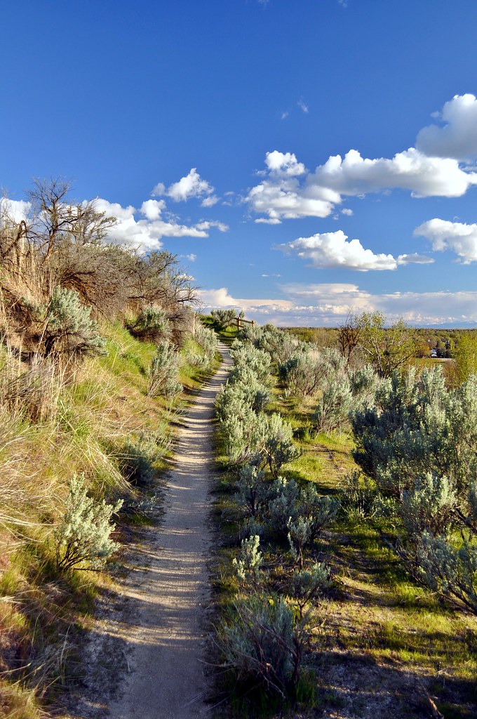 Seaman's Gulch Trail — Boise
