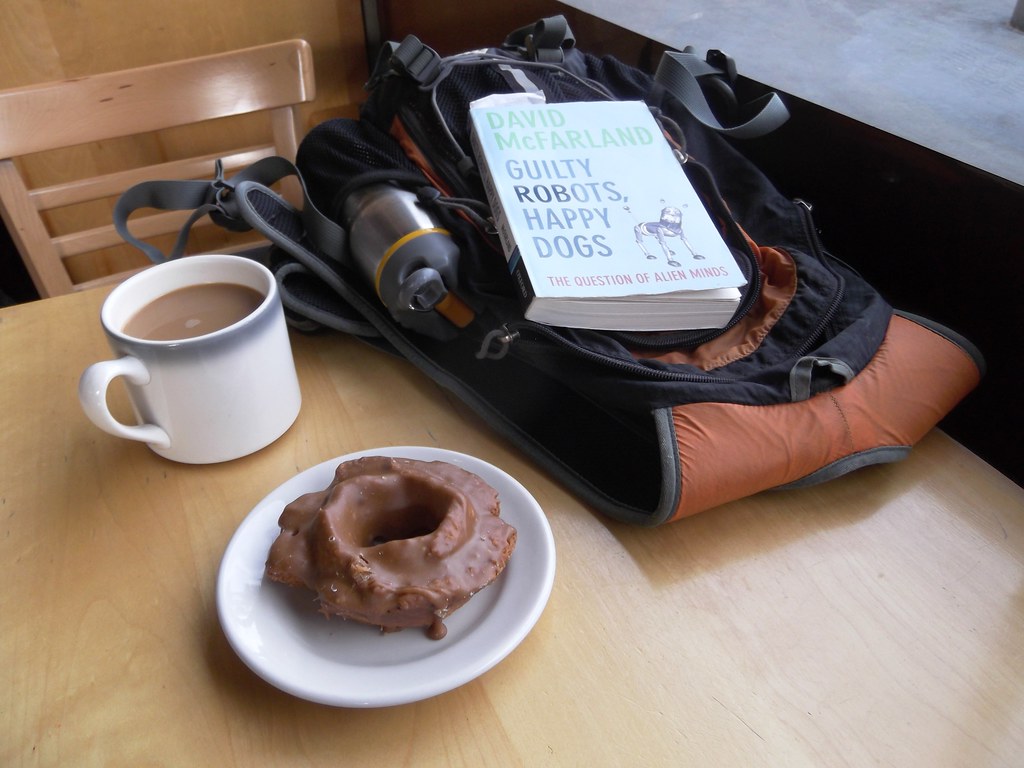 District Doughnut — Washington