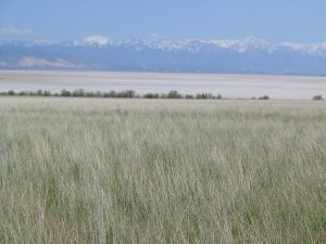 Antelope Island State Park — Salt Lake City