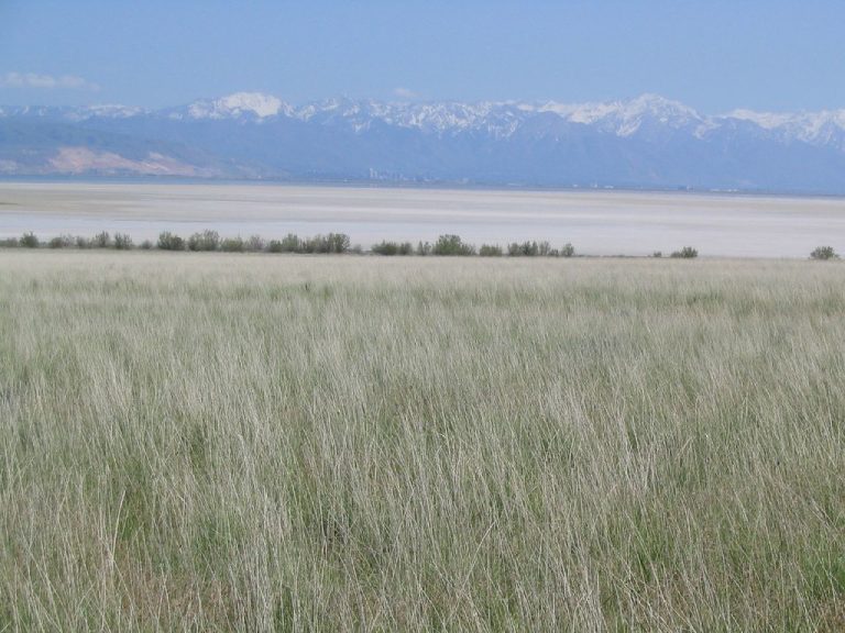 Antelope Island State Park — Salt Lake City