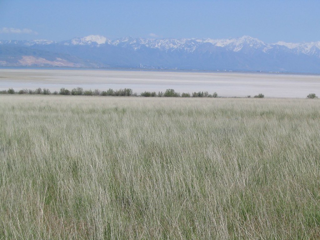 Antelope Island State Park — Salt Lake City