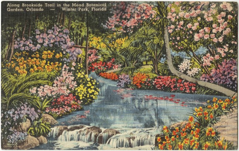 Mead Botanical Garden — Orlando