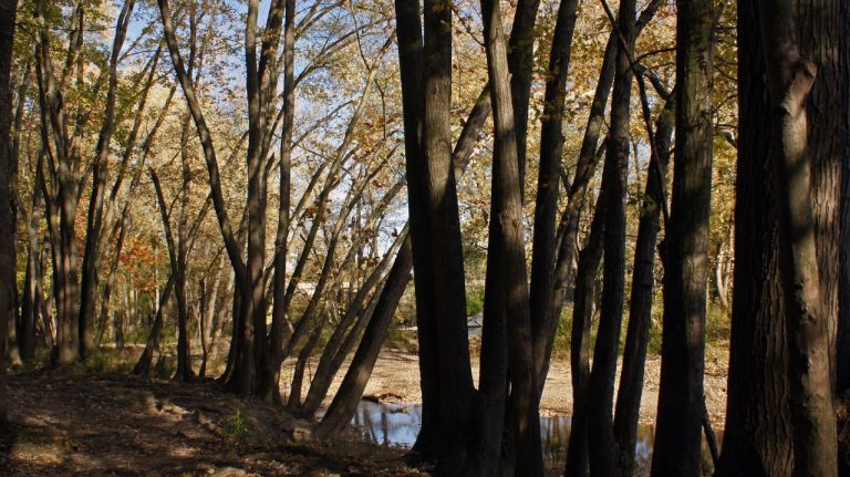 Holliday Park — Indianapolis