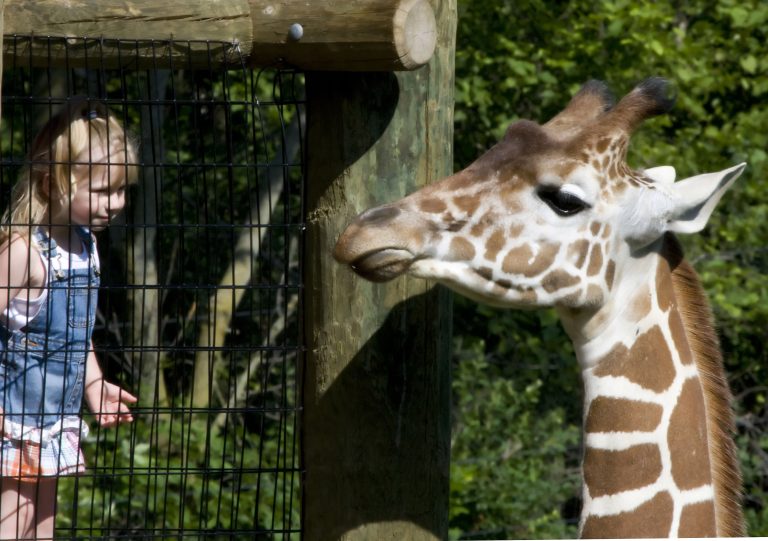 Fort Wayne Zoo Earns Prestigious AZA Honor — and Urban League Breaks Ground on New Health Clinic