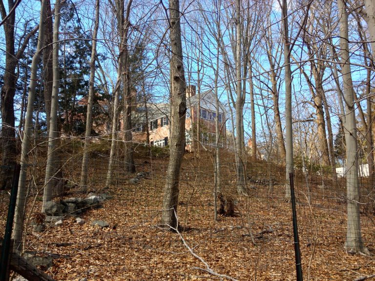 Treetops Park — Stamford
