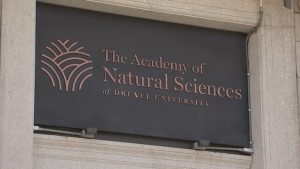 Academy Of Natural Sciences Museum In Philadelphia To Close By End Of September