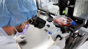 Ai Advances Offer New Hope For Cancer Treatment And Fertility Care