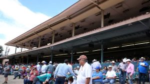 All American Futurity Triple Crown To Move To Lone Star Park In Grand Prairie