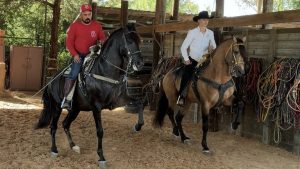 Alvin Father Son Team Keeps Dancing Horse Tradition Alive In Local Parades