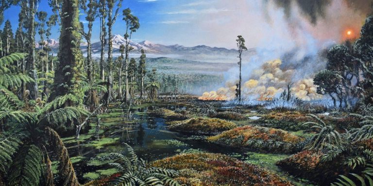 Ancient Antarctic Wildfires Reveal Warm Cretaceous Climate And Peatland Origins